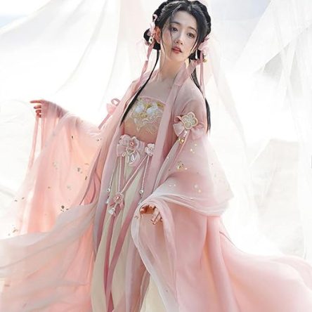 Hanfu Dress Women Ancient Chinese Traditional